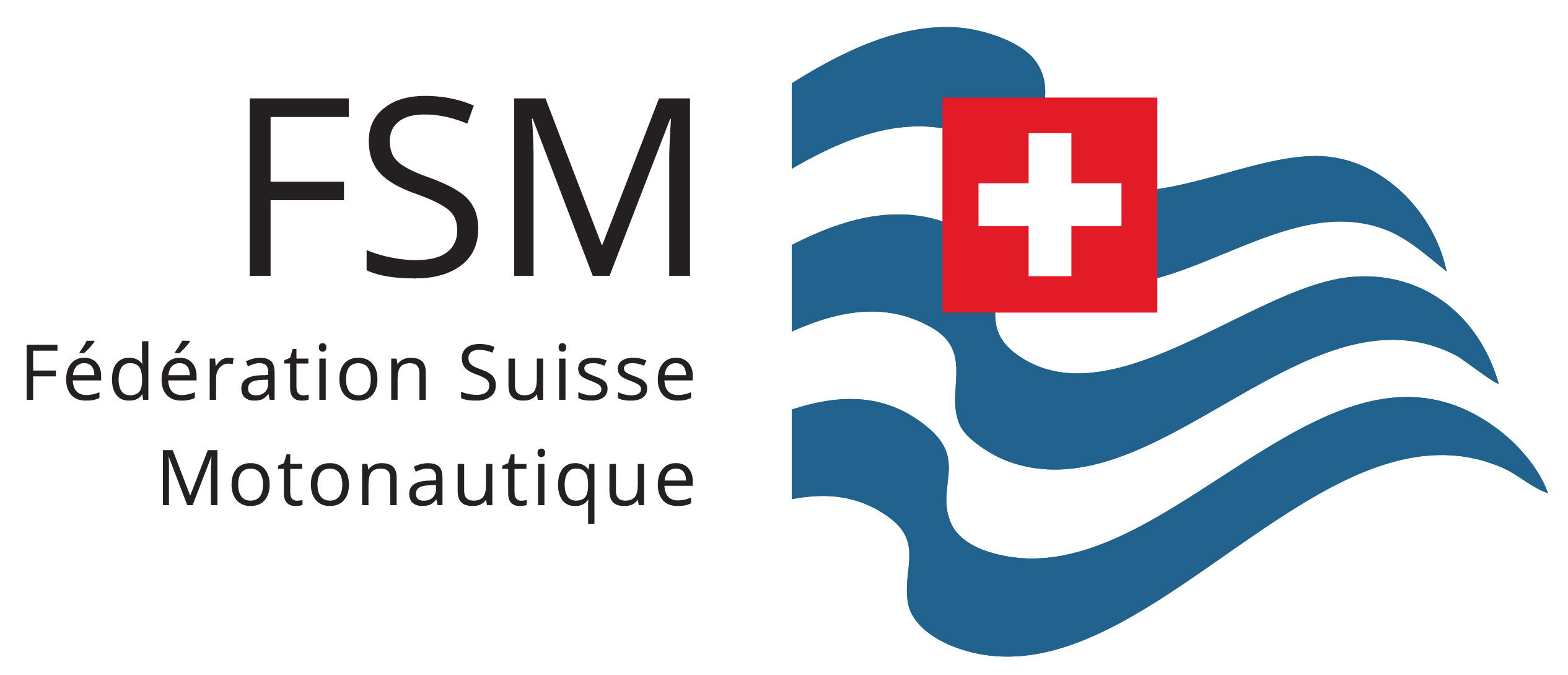 Pr%C3%A4sentation_Logo_FSM.jpg